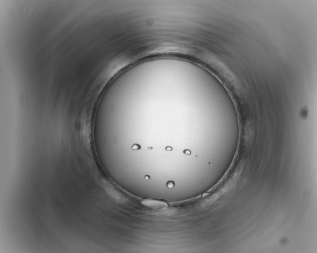 X0000102411321200808151956