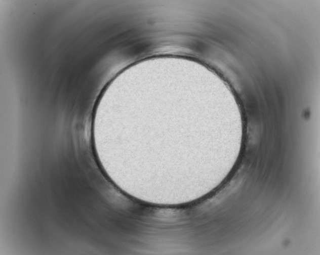 X0000102411322200808151956