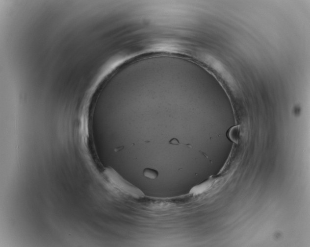 X0000102411323200808151956