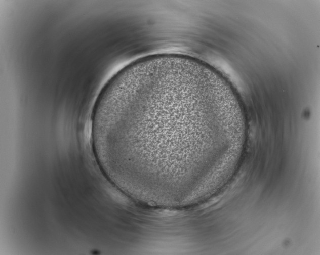 X0000102411324200808151956