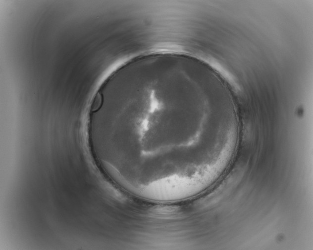 X0000102411325200808151956