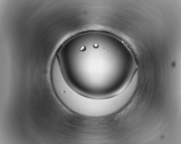 X0000102411326200808151956