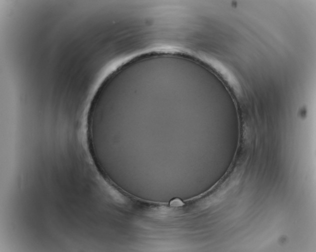 X0000102411327200808151957