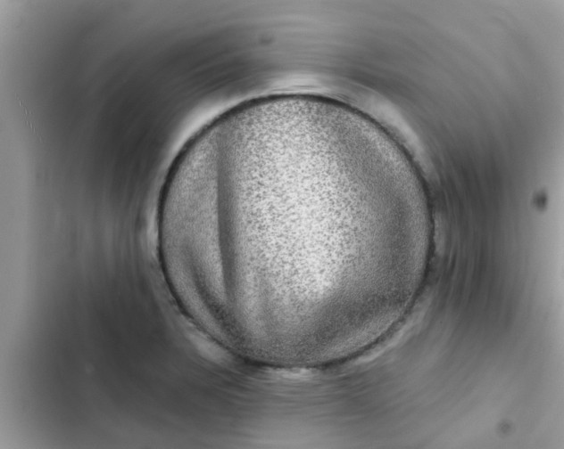 X0000102411328200808151957