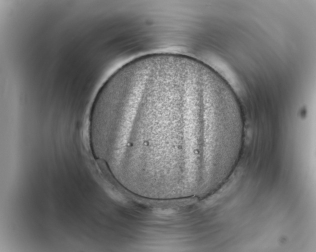 X0000102411332200808151957