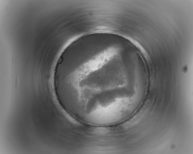 X0000102411333200808151957