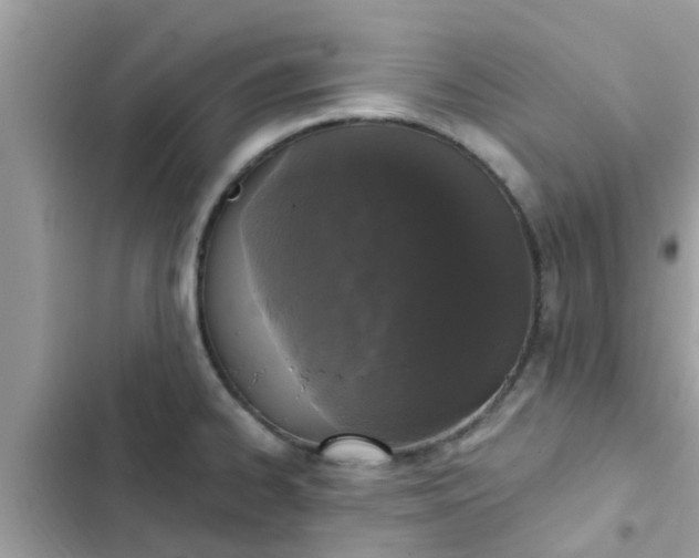 X0000102411334200808151957