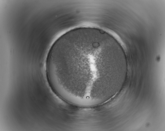 X0000102411335200808151957