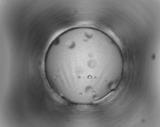 X0000102411336200808151957