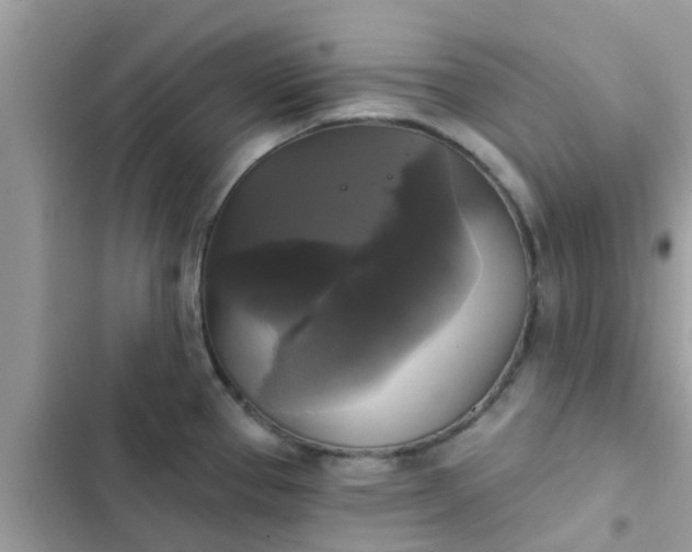 X0000102411337200808151957