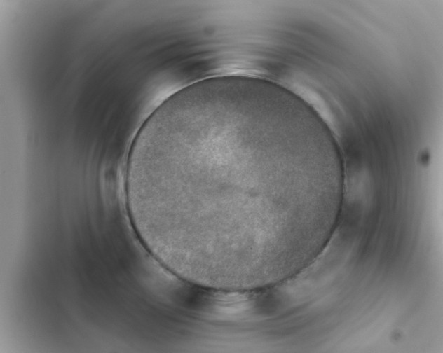 X0000102411338200808151957