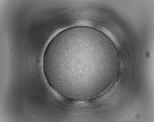 X0000102411339200808151957