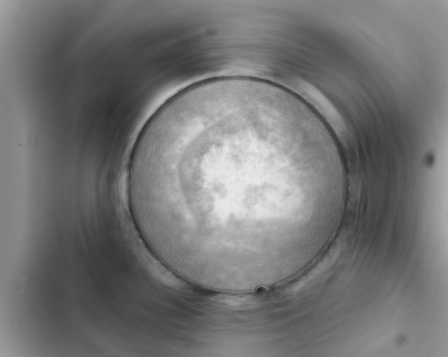 X0000102411340200808151957