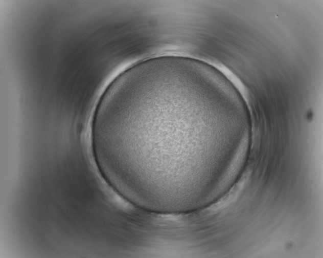 X0000102411341200808151957