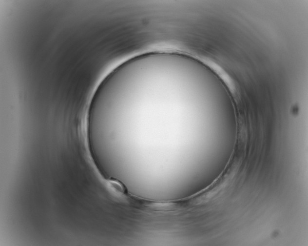 X0000102411343200808151957