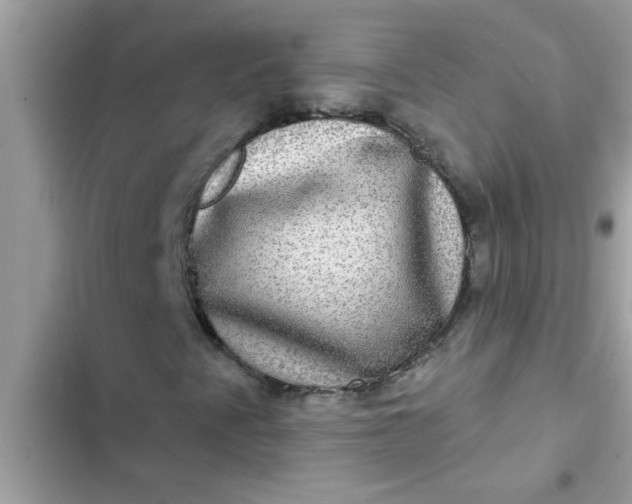 X0000102411345200808151956