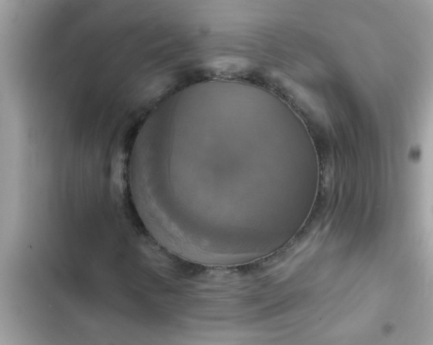 X0000102411346200808151956