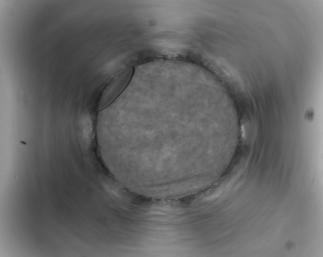 X0000102411347200808151956