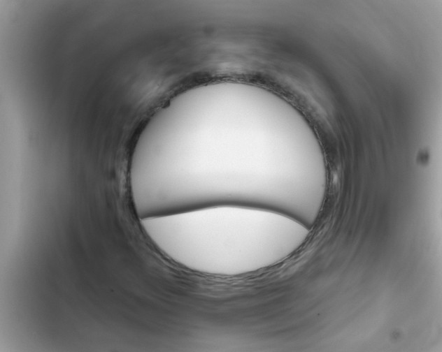 X0000102411348200808151956