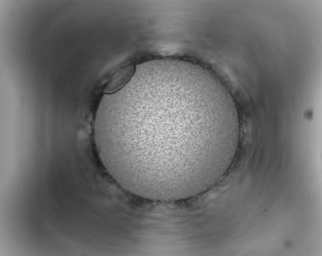 X0000102411349200808151956