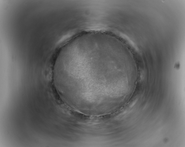 X0000102411350200808151956