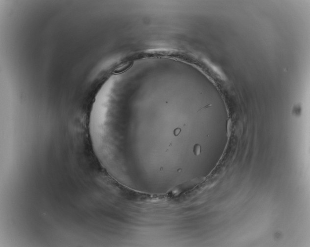 X0000102411351200808151956