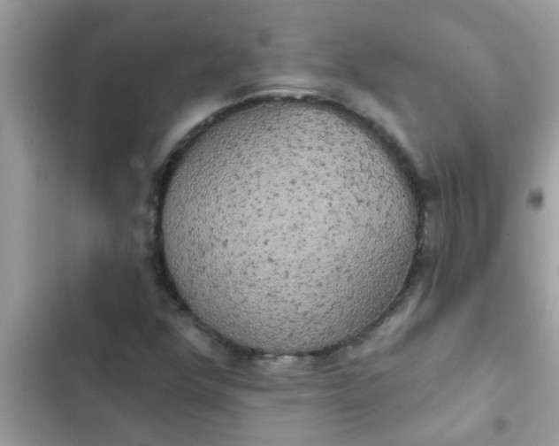 X0000102411352200808151956