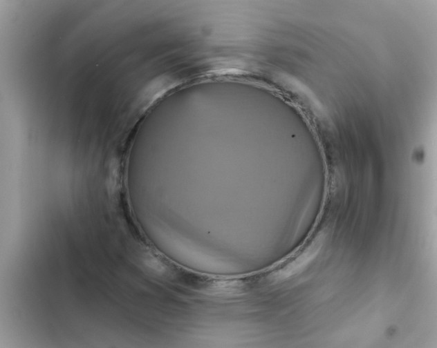 X0000102411353200808151956