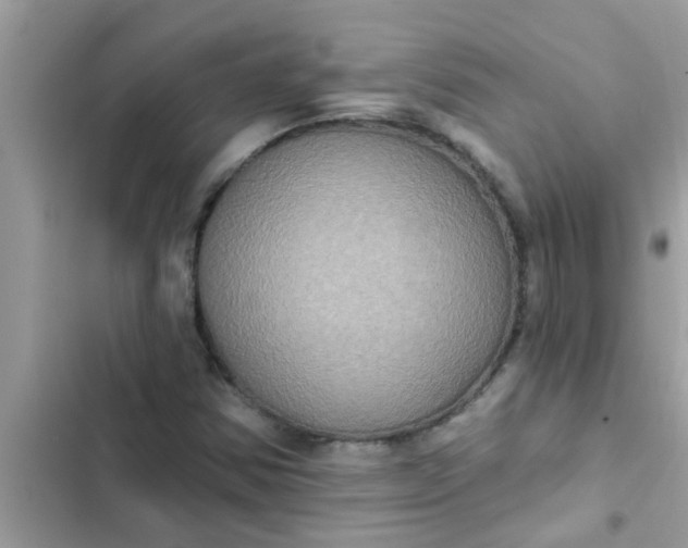 X0000102411354200808151956