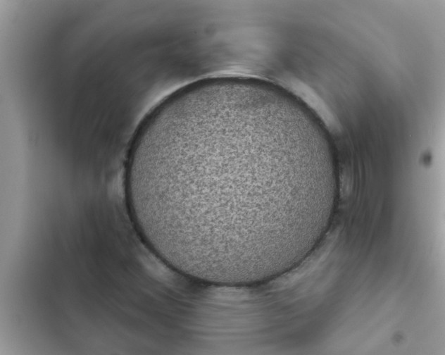 X0000102411356200808151956