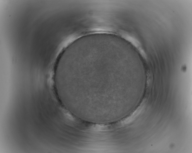 X0000102411357200808151956