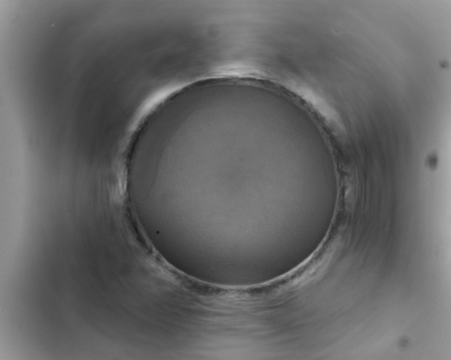 X0000102411358200808151956