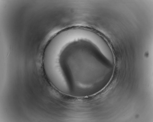 X0000102411359200808151956