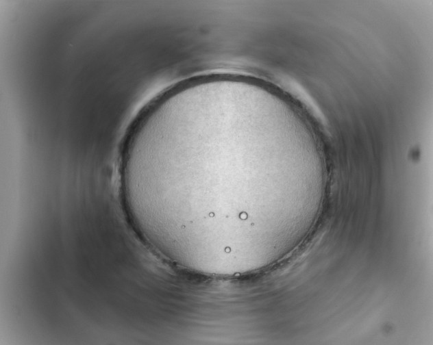 X0000102411360200808151956