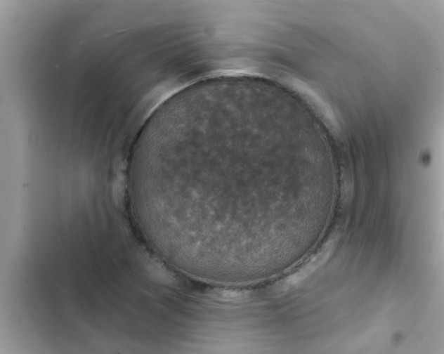 X0000102411361200808151956