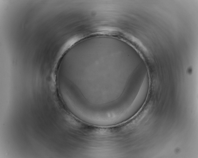 X0000102411362200808151956