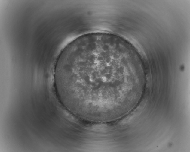 X0000102411363200808151956