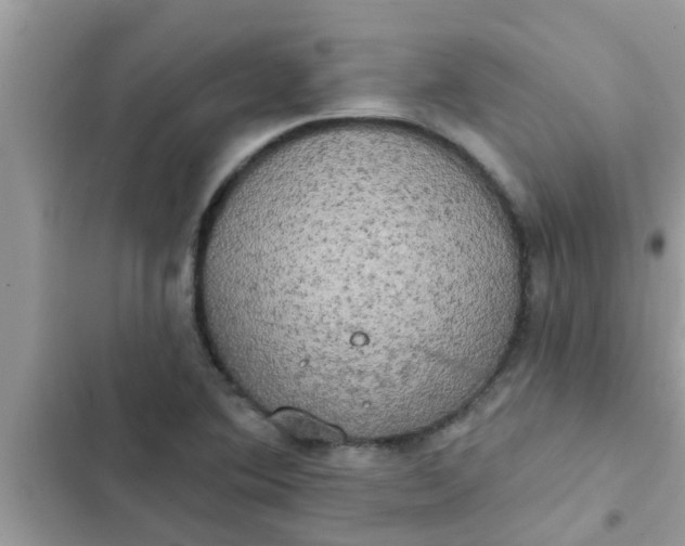 X0000102411364200808151956