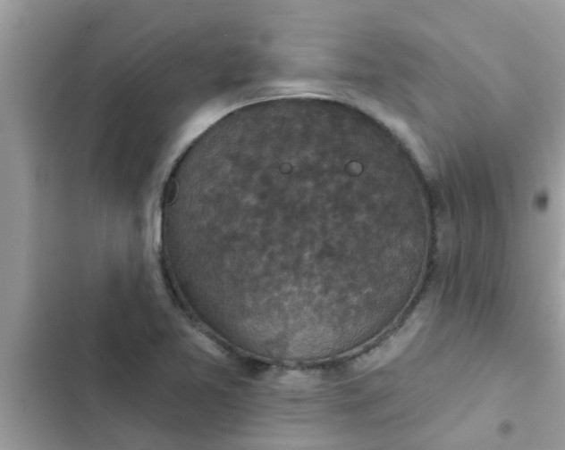 X0000102411365200808151956