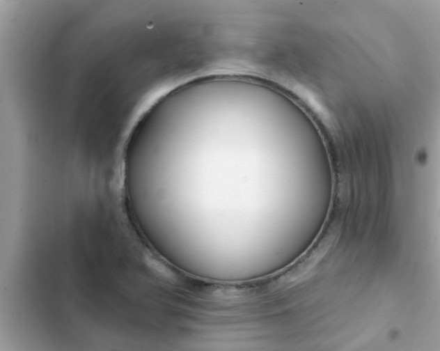 X0000102411366200808151956