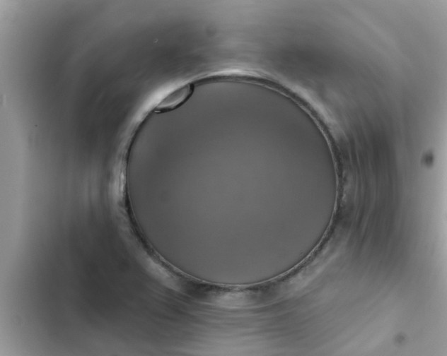 X0000102411367200808151956