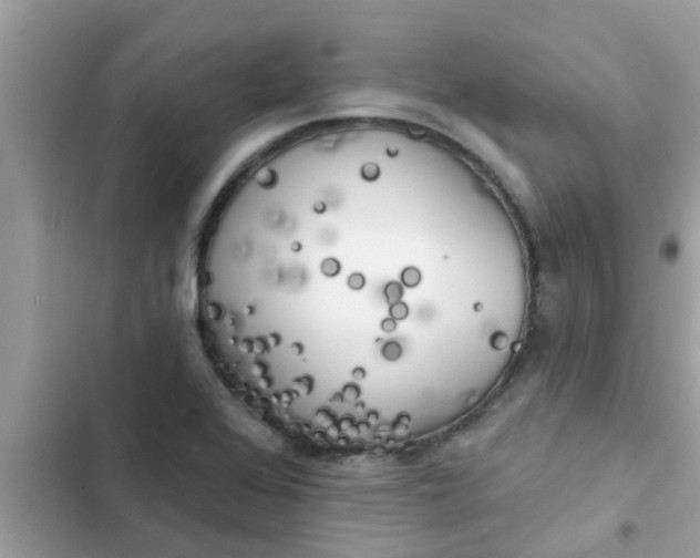 X0000102411368200808151956