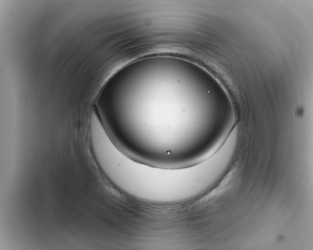 X0000102411369200808151956