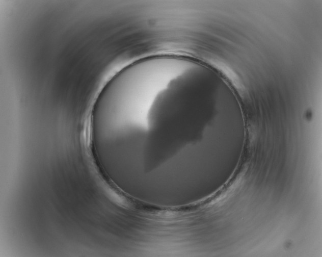 X0000102411371200808151956