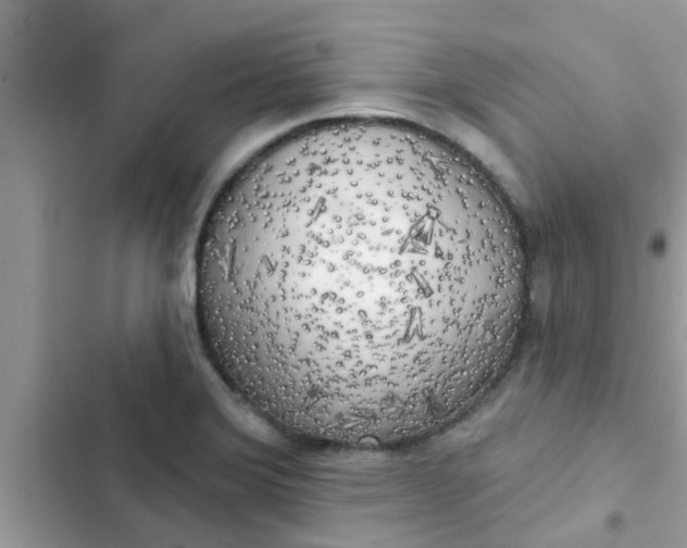 X0000102411372200808151956