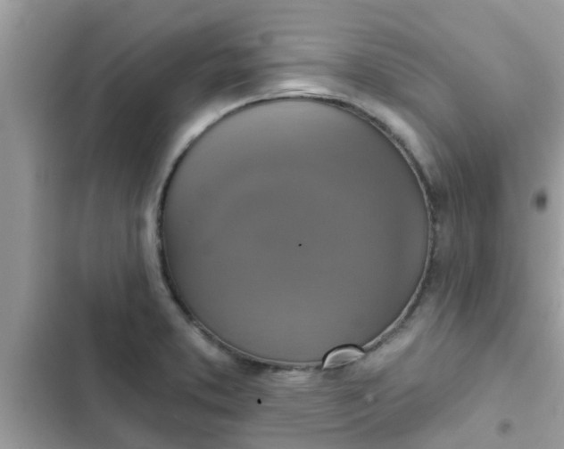 X0000102411373200808151956