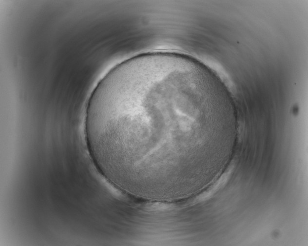 X0000102411374200808151955