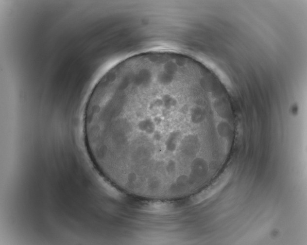 X0000102411375200808151955