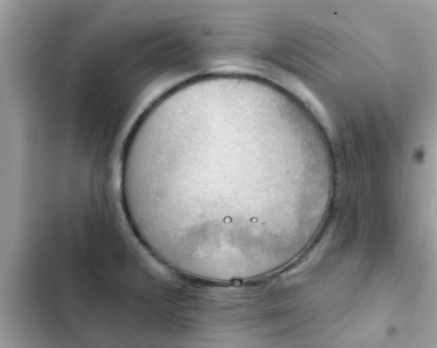 X0000102411376200808151955