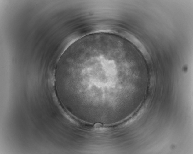 X0000102411377200808151955